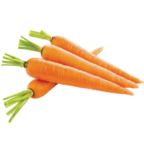Hình ảnh Cà rốt